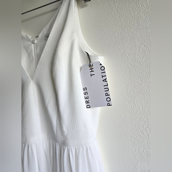 Dress The Population, Alicia Chiffon A-Line Dress, Ivory, Size Small - NWT!! - Picture 7 of 13
